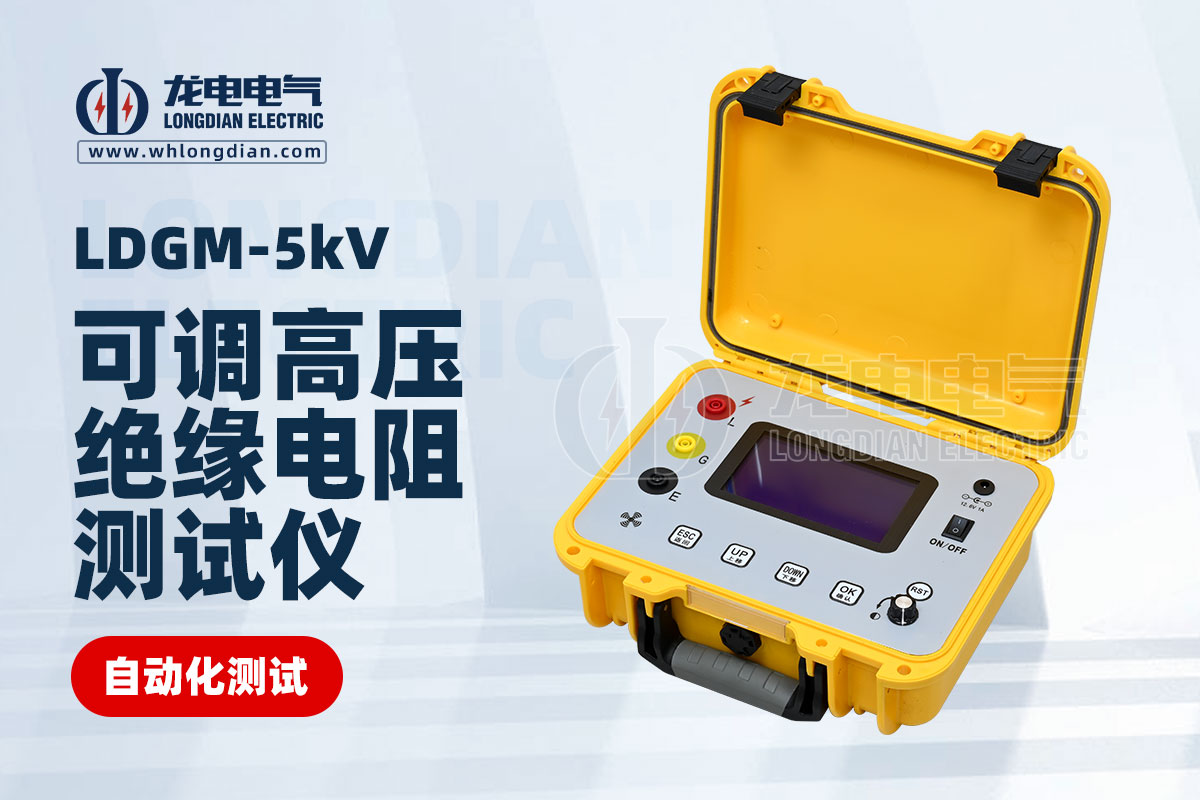 LDGM-5KV絕緣電阻測試儀